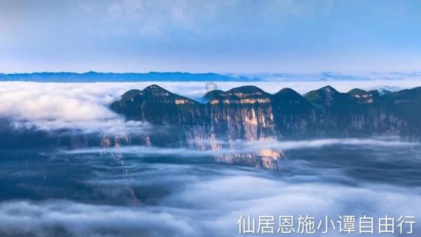 狐狸的旅程