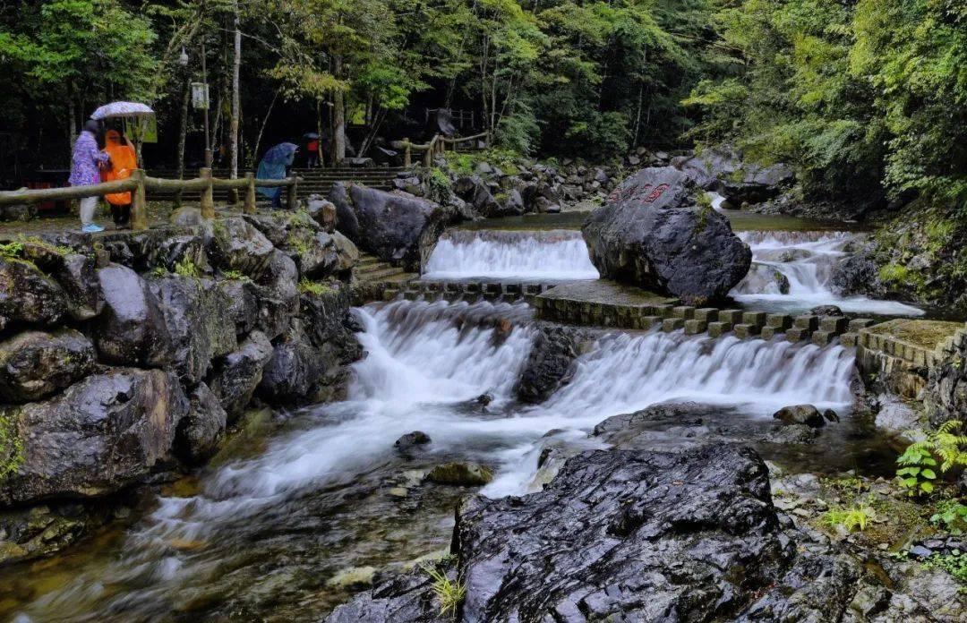春雨直播app