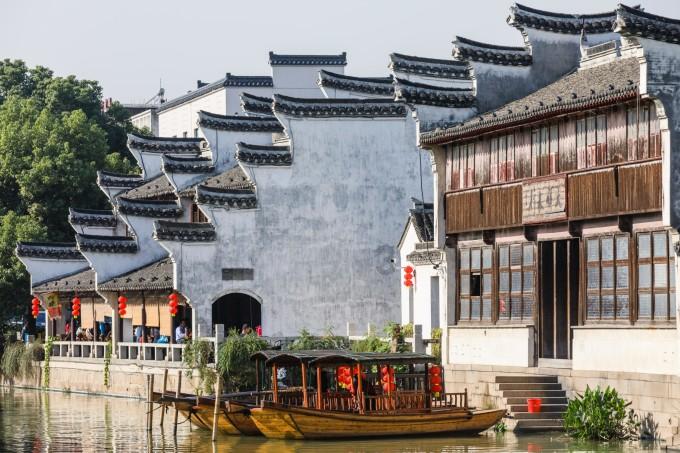 逃离橡子树种植地