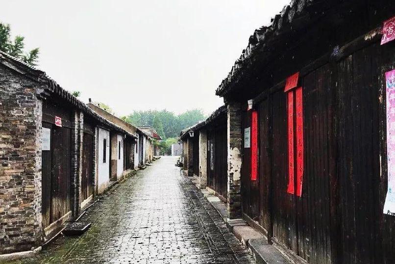 逗小猴开心系列214